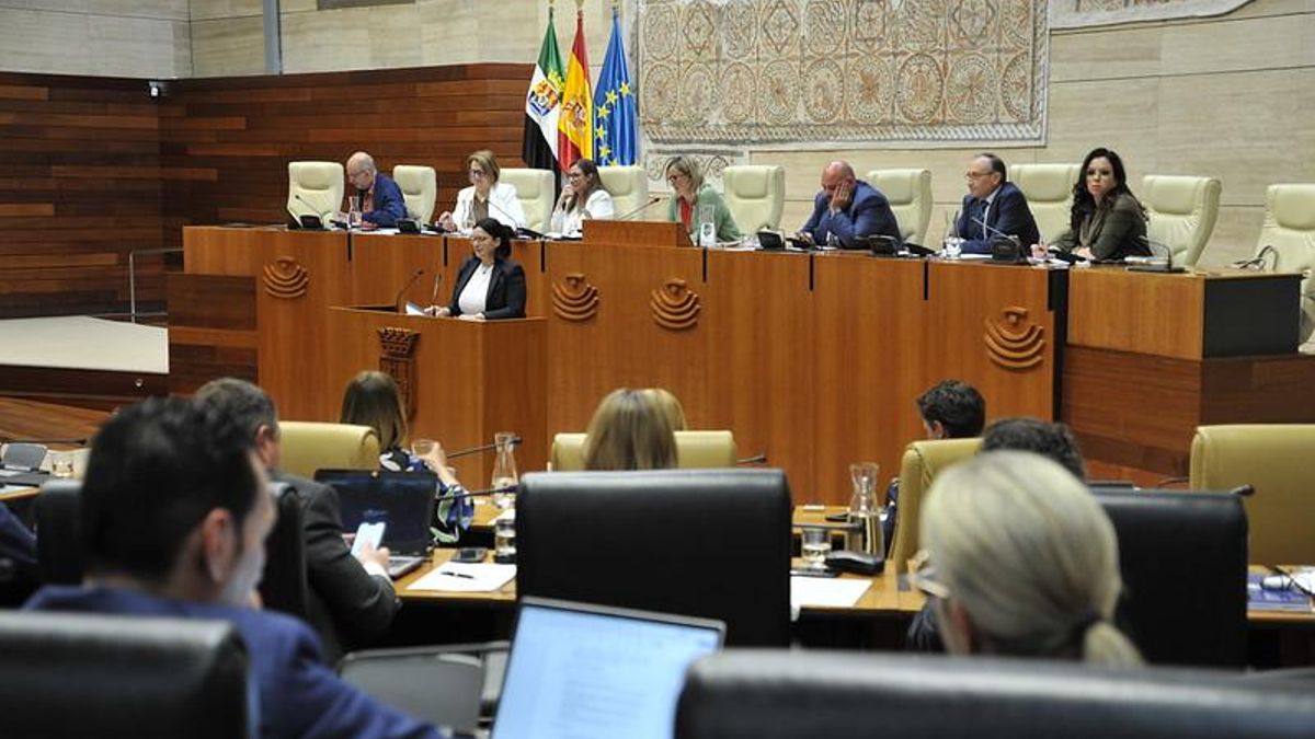 Un momento del pleno de la Asamblea de Extremadura este jueves