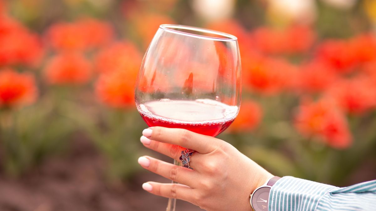 Las mujeres que marcan tendencia, protagonistas del II Encuentro Vinos de Autora el 25 de marzo en Valdepeñas