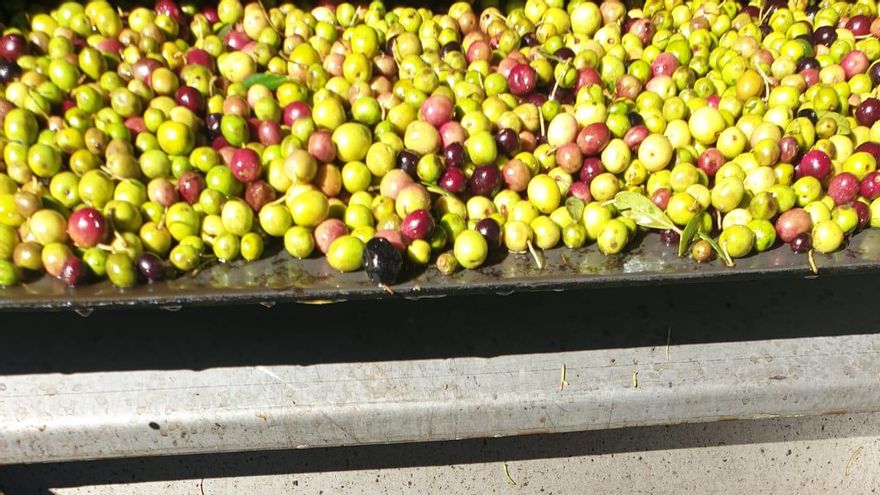 Las exportaciones extremeñas a Rusia y Ucrania, 26 millones de euros al año, en el aire