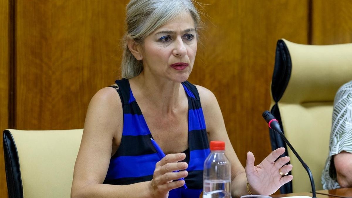 Junta de Andalucía priorizará el presupuesto de Memoria en exhumaciones e identificaciones y Vox le recuerda su pacto