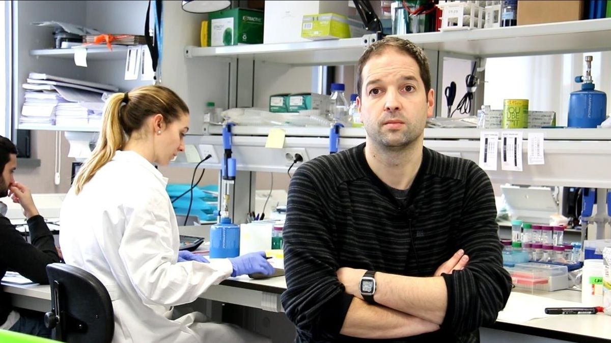 Un estudio sobre cáncer de páncreas en el que colabora UC-IBBTEC revela avances sobre el germen del tumor