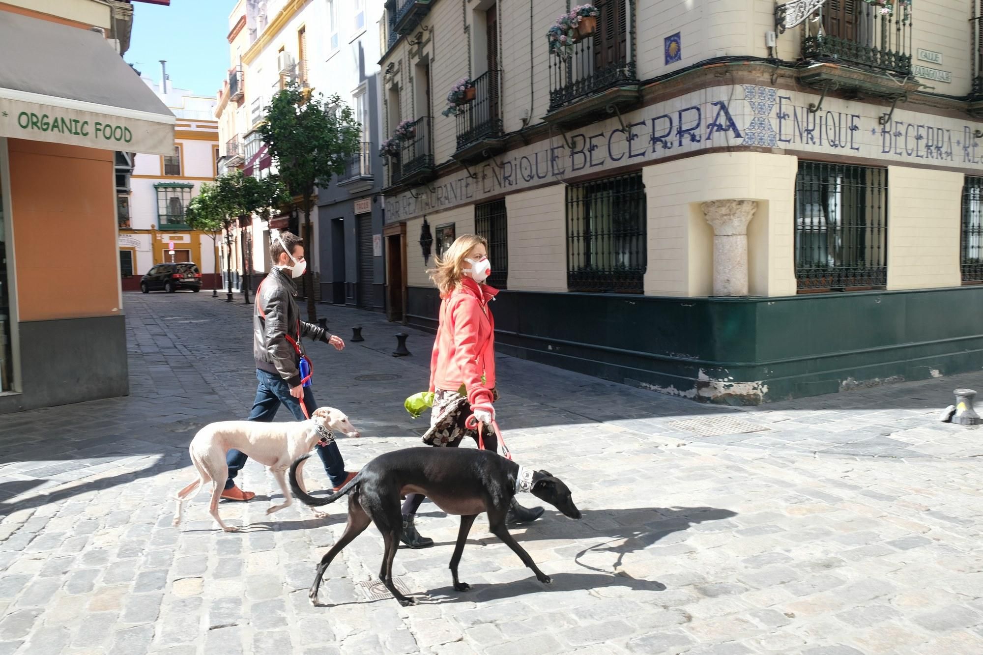 Paseando galgos en tiempos de pandemia /Foto: Luis Serrano