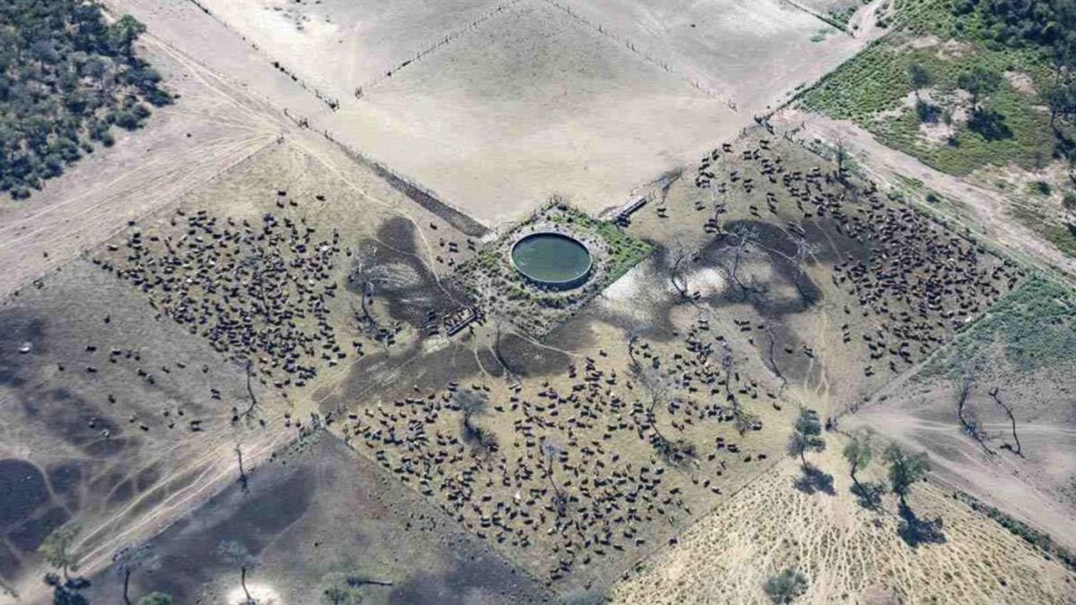 Foto: Sebastian Pani / Greenpeace