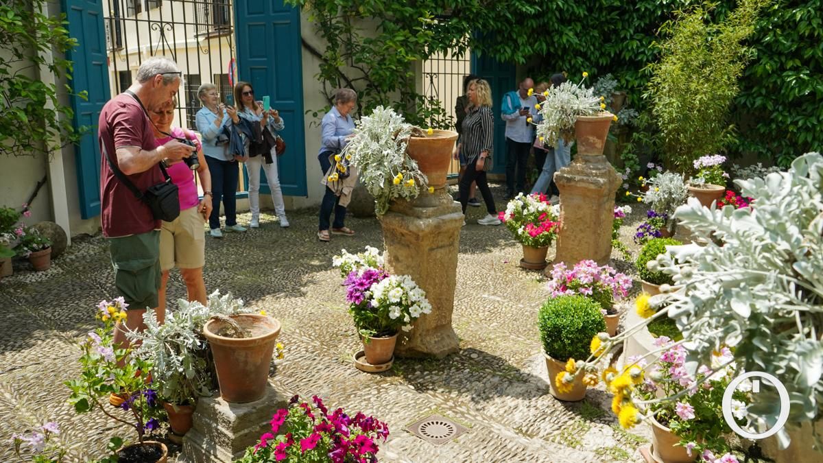 Jornada de puertas abiertas en todos los Patios del Palacio de Viana