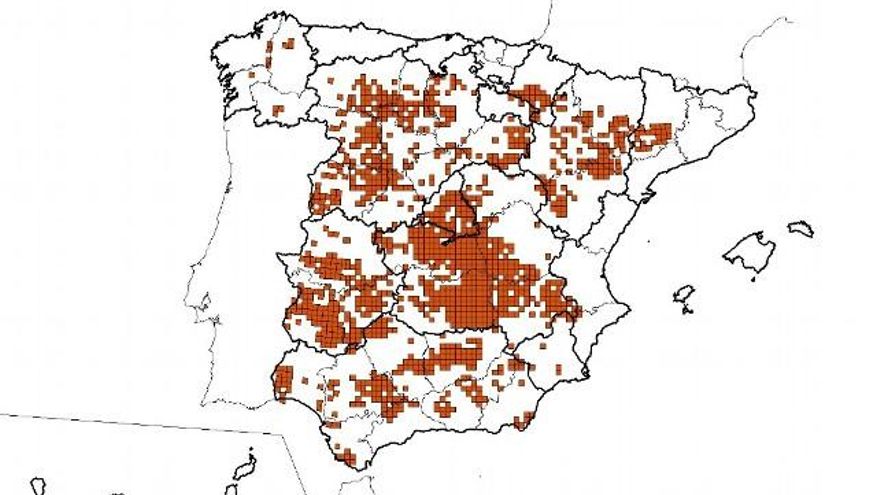 Sisón común, mapa de distribución en primavera.