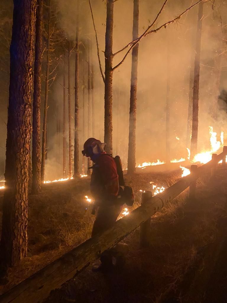 Militares de la UME combatiendo las llamas del incendio de Tenerife