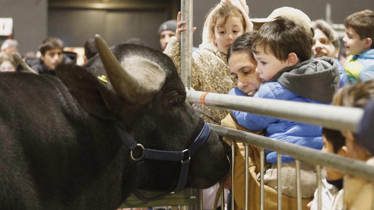 La Exposición Rural de Palermo celebra su 137° edición.