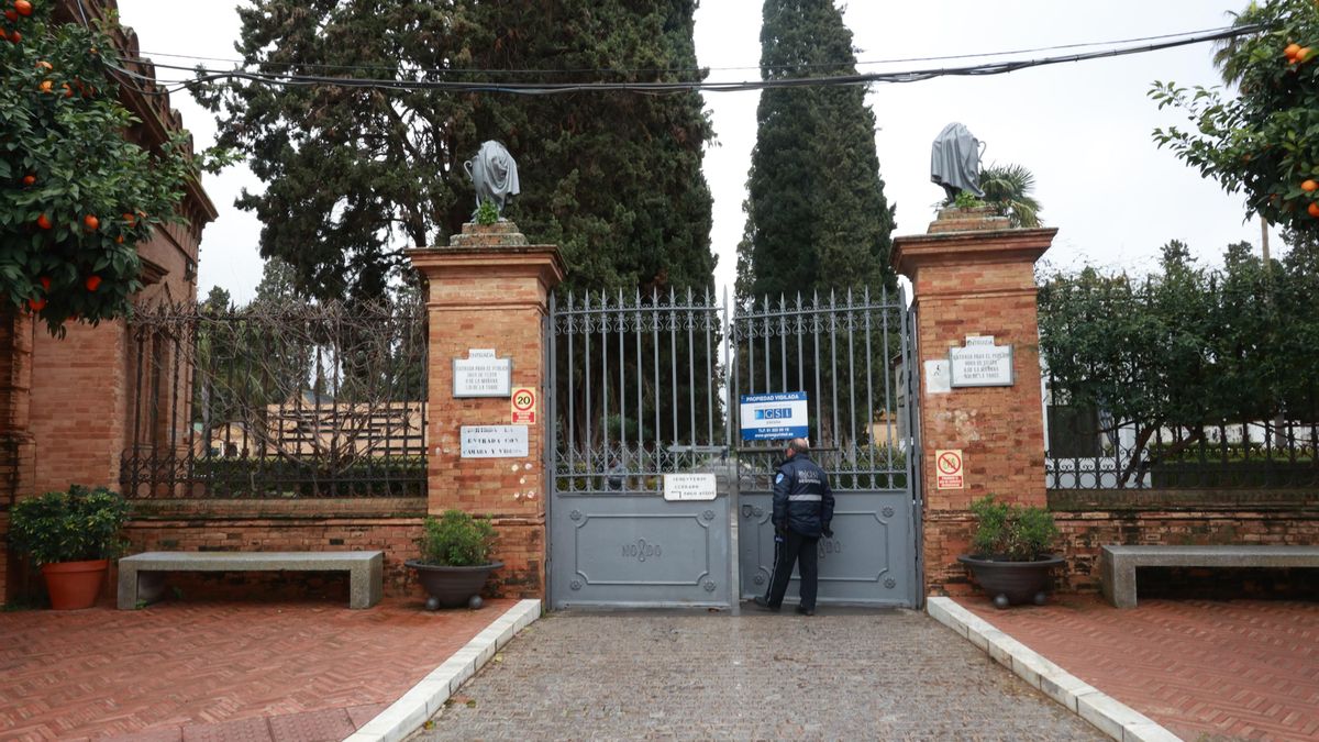 El cementerio de Sevilla reabre el viernes tras más de un mes cerrado por los árboles derribados por los temporales