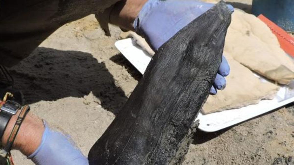 El descubrimiento en África obliga a revisar la idea de que solo el Homo sapiens planificaba y construía