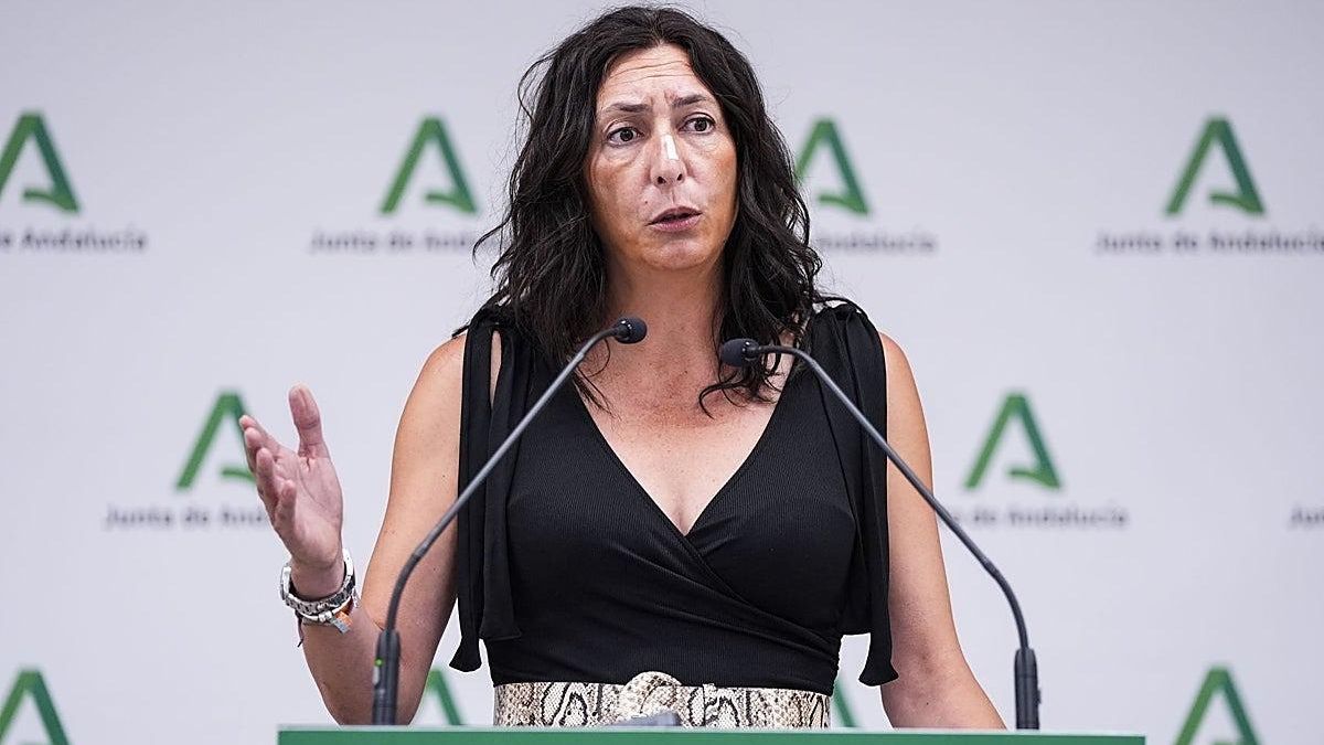 El tránsito entre acogimiento y adopción deja en el "limbo" a menores andaluces cinco años después de la nueva ley
