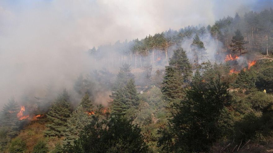 Aseguran que si se hubiera cumplido la normativa estatal, el incendio forestal de Canales no se habría producido
