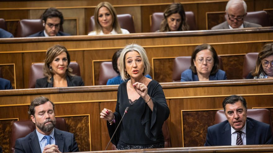 El rastro en el Congreso de Inés Cañizares, candidata de Vox en Toledo: la izquierda incita a la pedofilia y profana tumbas