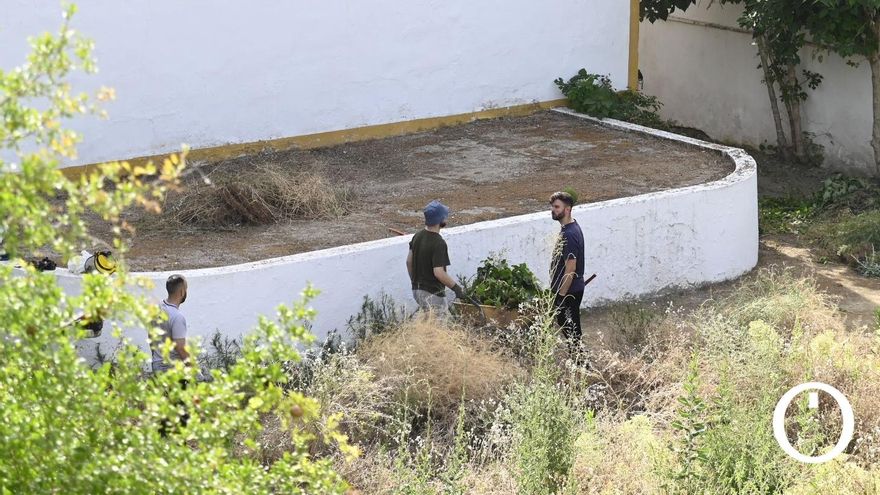 Comienzan los trabajos para poner a punto los cines de verano de Córdoba