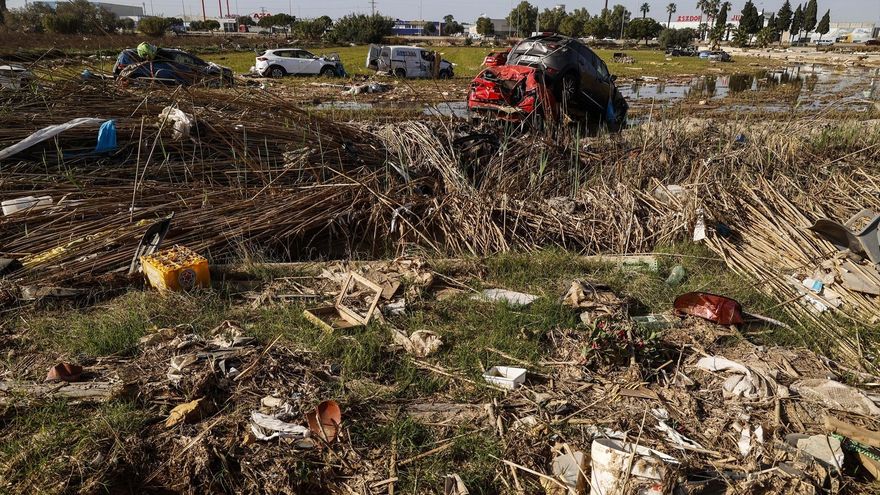 Quién puede acceder y cómo solicitar las ayudas directas a viveros, cultivos hortícolas y herbáceos afectados por la DANA