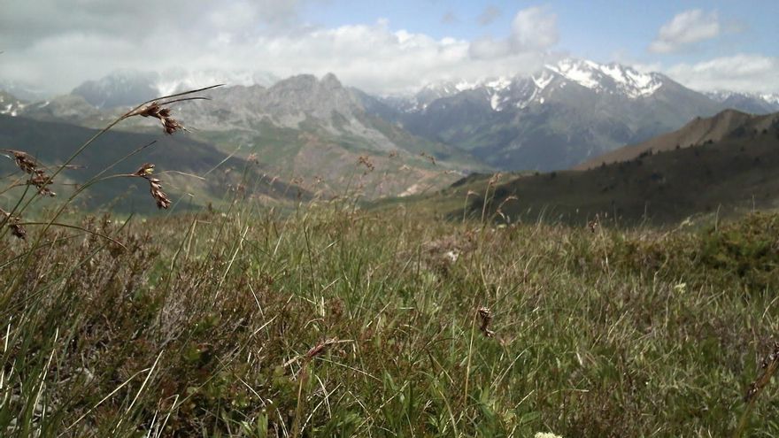 Una imagen del Pirineo aragonés