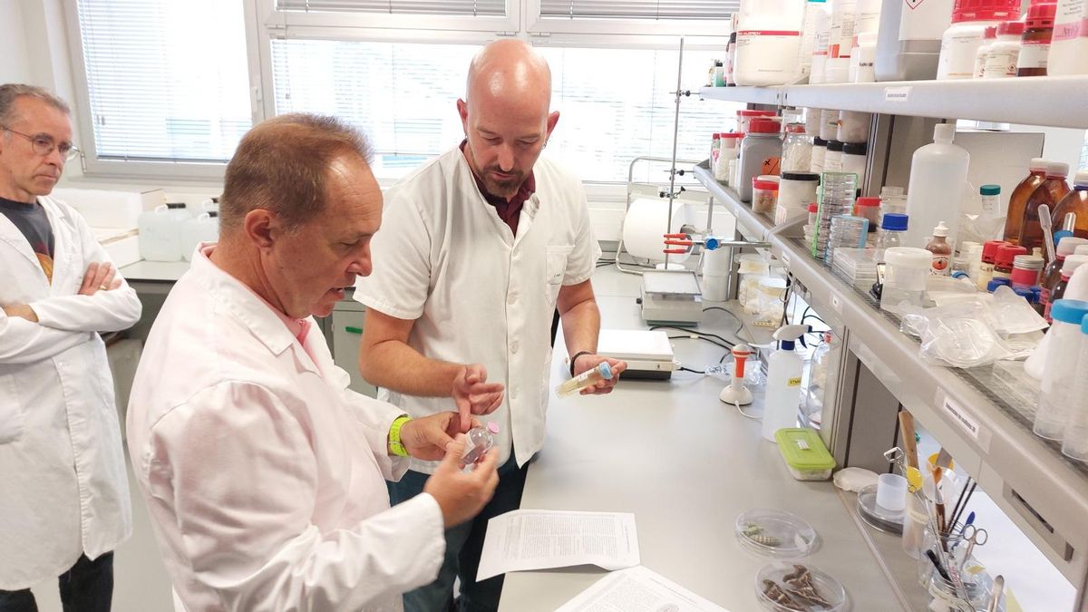 Andrés Martínez Bastida, ingeniero agrónomo: "La edición genética vegetal es la gran revolución"