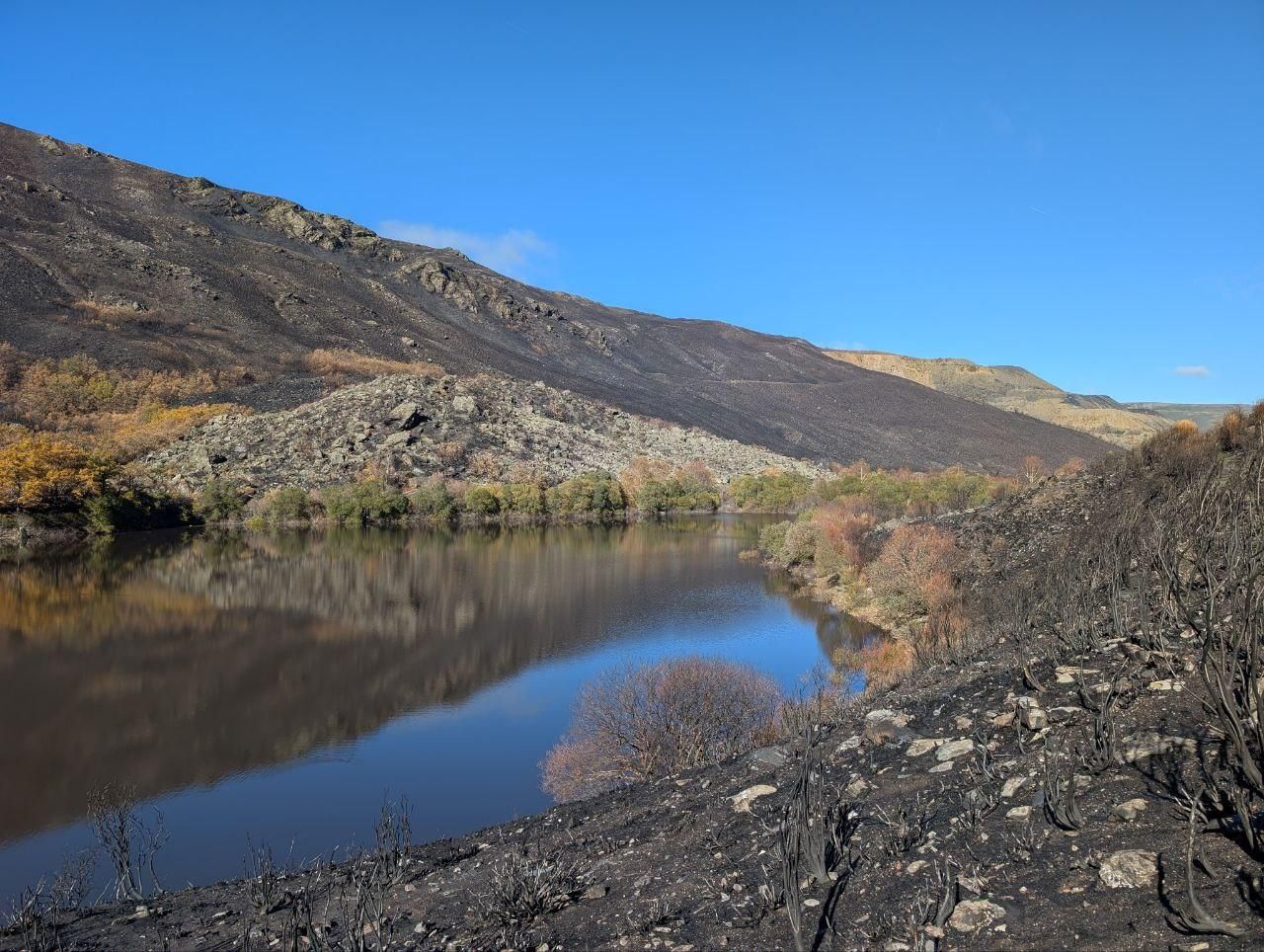 El Lago de la Baña tres meses después de ser arrasado por el fuego