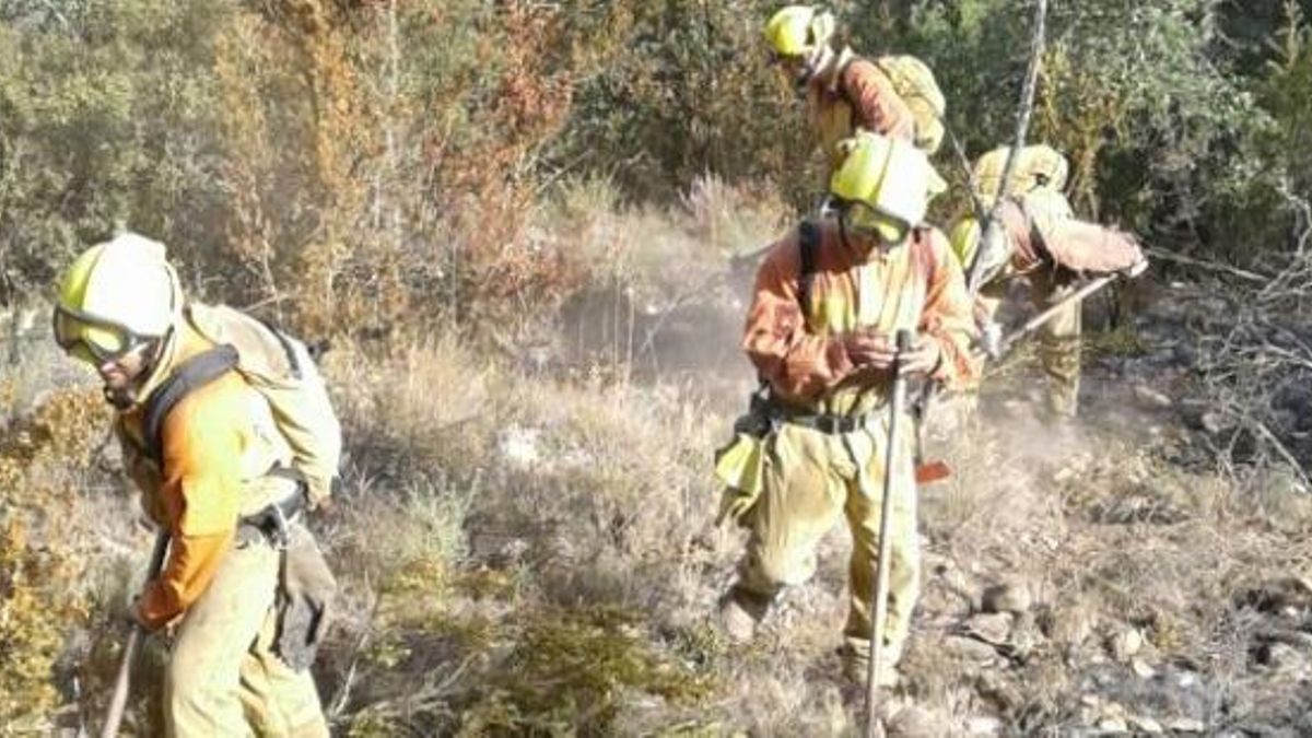 Aragón refuerza la prevención de incendios con más estaciones de secado para medir la humedad de la vegetación