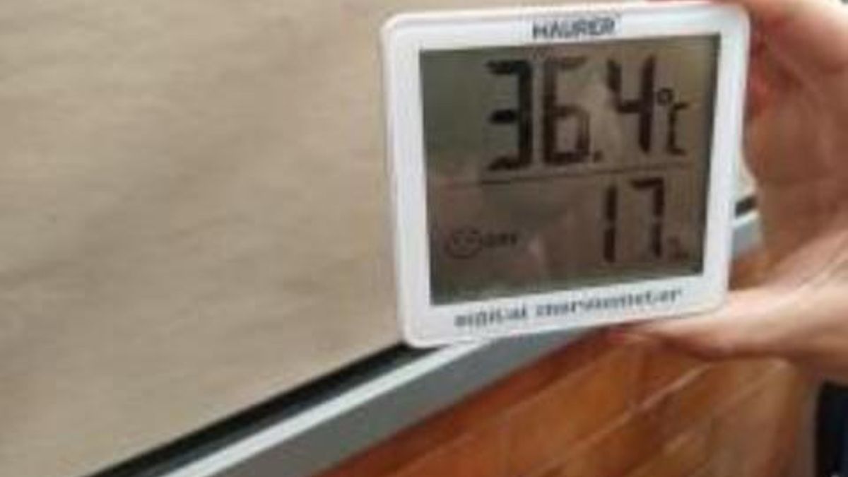 Medición de temperatura en el CEIP Florián Rey de La Almunia el jueves 28 de mayo a las 12.30