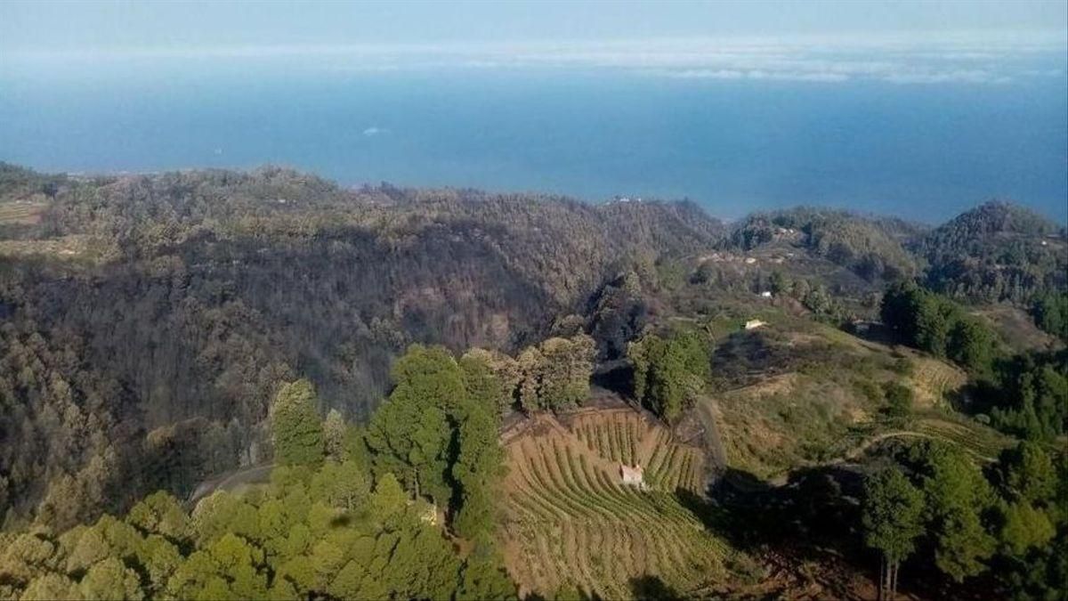 Imagen de parte de la zona afectada por el reciente incendio forestal en Garafía