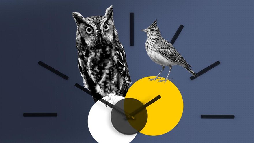 Night owls or early risers: Which is better, according to science?