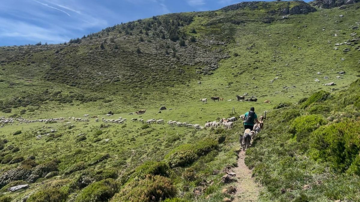 Acuerelas en el Parque del Ebro y una ruta acompañando al ganado trashumante, en el fin de semana de Pasea La Rioja
