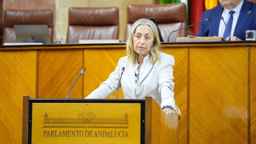 La consejera de Salud sugiere que los contratos a dedo investigados por el juez evitaron más muertos en Andalucía