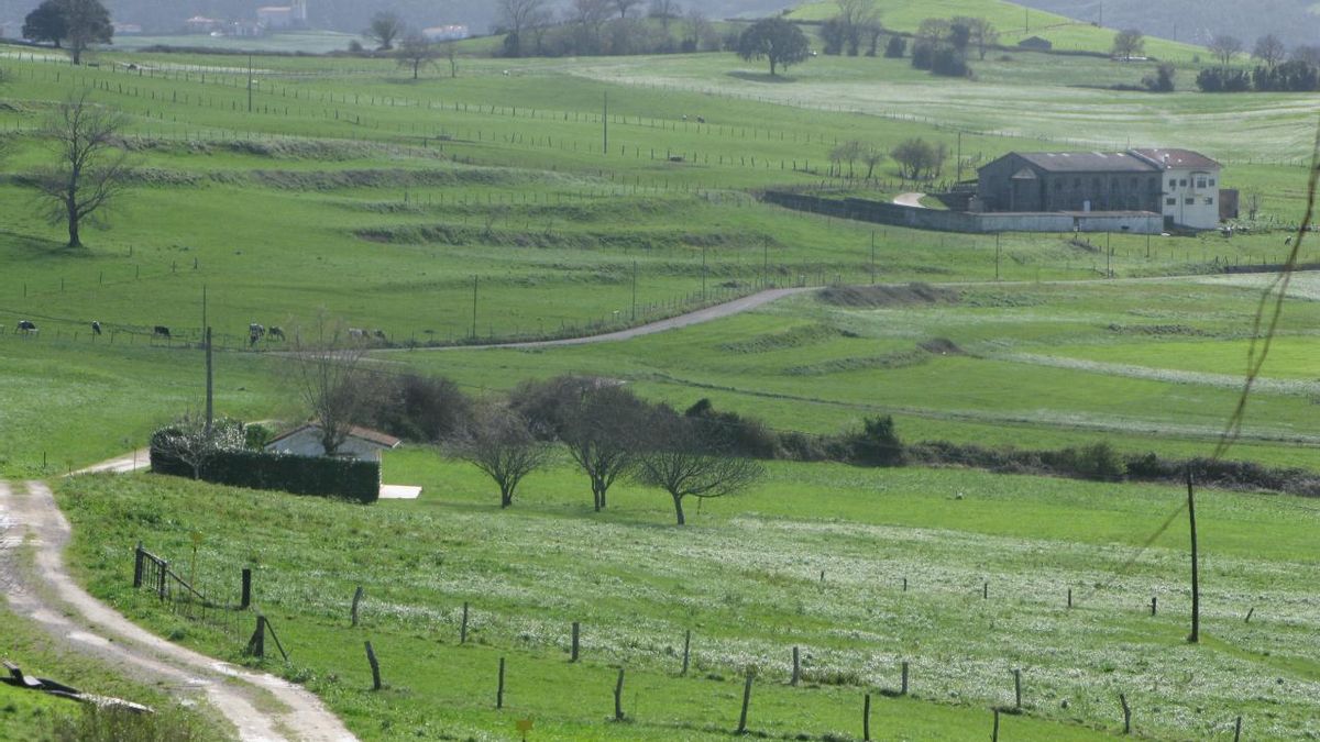 Paisaje rústico.