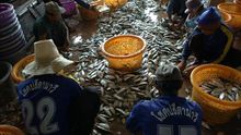Denuncian casos de esclavitud en barcos de pesca en aguas de Tailandia