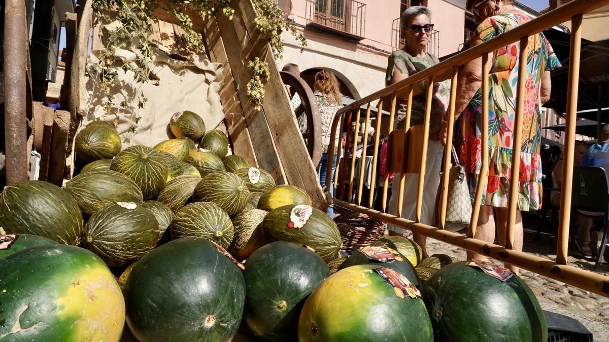 Celebración de la Romería de La Melonera en la Plaza del Grano de León. 
