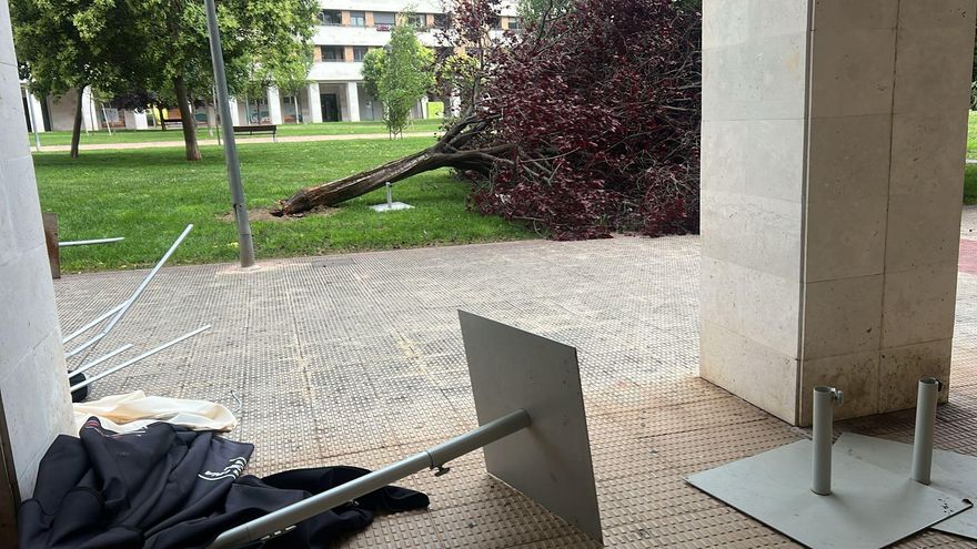 Los efectos del viento en Logroño: árboles y sombrillas por los suelos