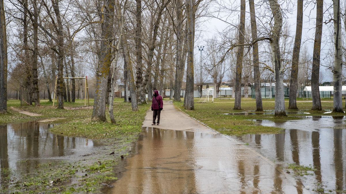 Catorce ríos de la cuenca del Duero, desbordados y con once puntos en nivel rojo de alerta