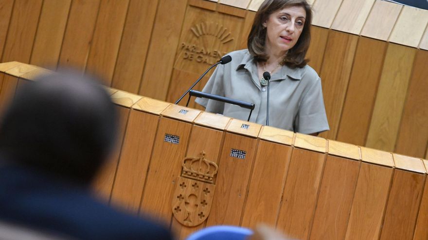 La conselleira de Medio Ambiente, Ángeles Vázquez, en el pleno del Parlamento