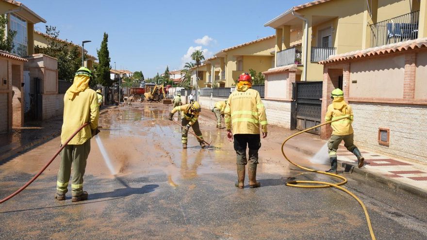 Bomberos forestales despedidos de forma "inesperada": "Un día estaba picando lodo en Toledo y al otro, en el paro"