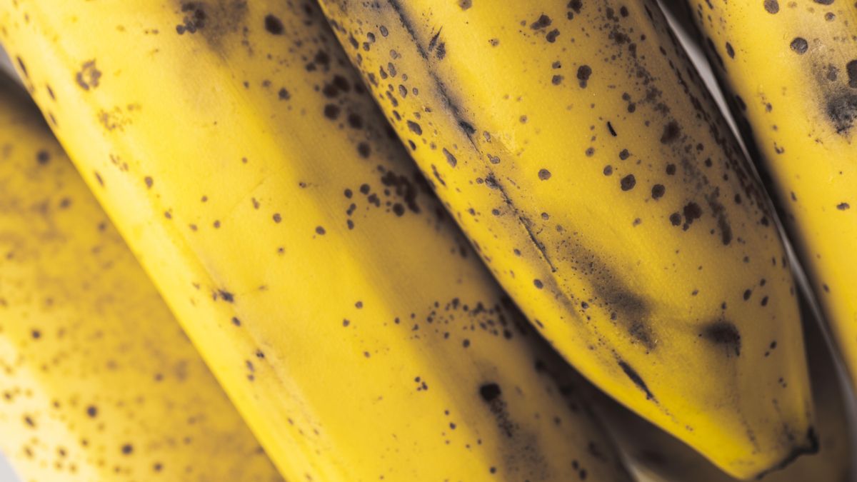 El plátano es una fuente importante de nutrientes