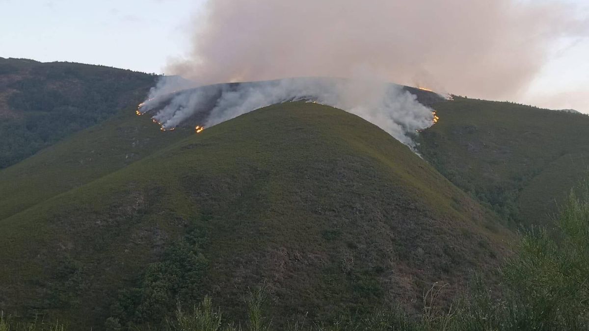 Aspecto actual del incendio forestal desatado en Guímara.