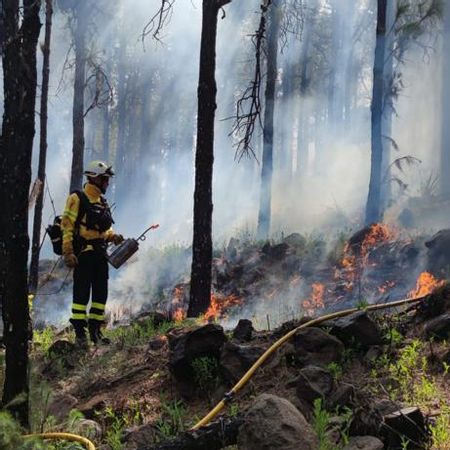 Un bombero, durante una quema controlada en Gran Canaria para prevenir incendios forestales