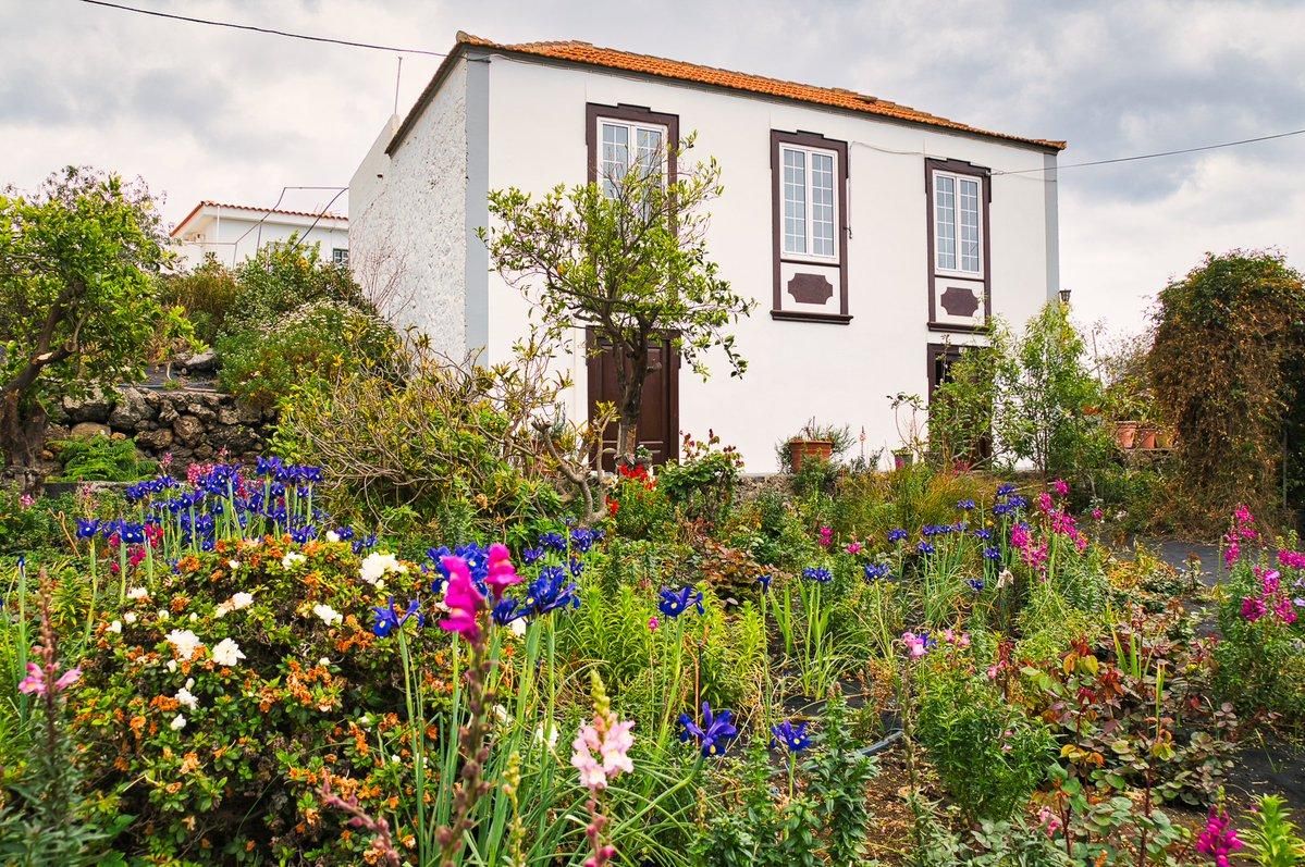 Flores en una casa de Las Manchas (El Paso) esta primavera. Foto: MAURO CASTRO