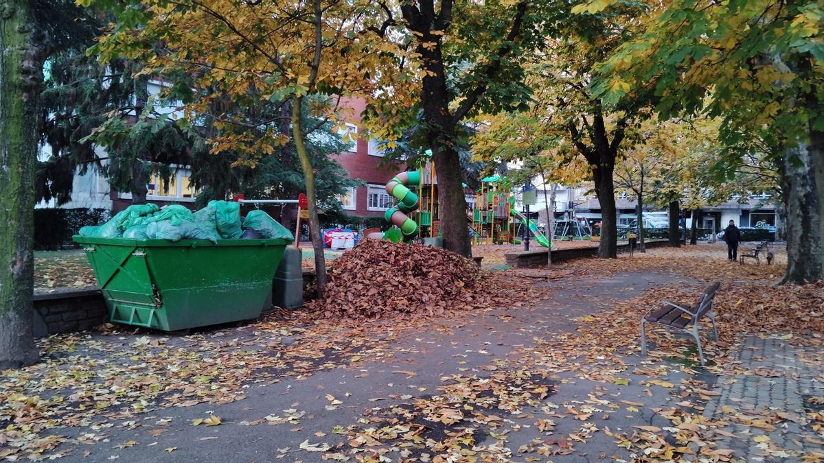 Contenedores con bolsas de hoja caduca en el Jardín de San Francisco.