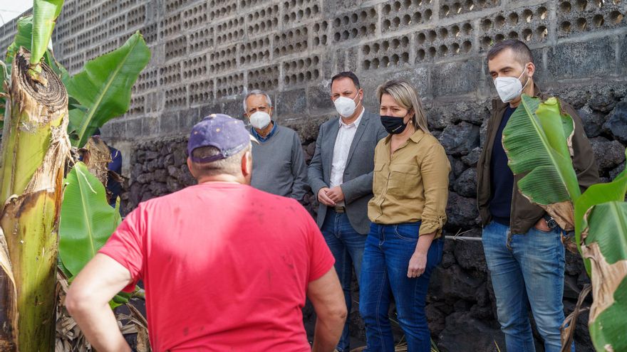 Un momento del recorrido por una finca de plátanos.