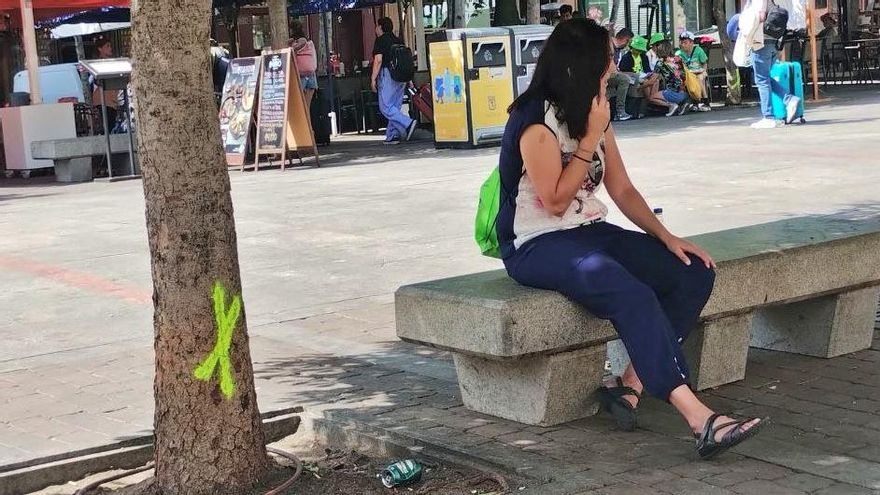 El Ayuntamiento de Madrid marca la tala de 30 árboles en la plaza de Santa Ana, a la que se oponen vecinos y hosteleros