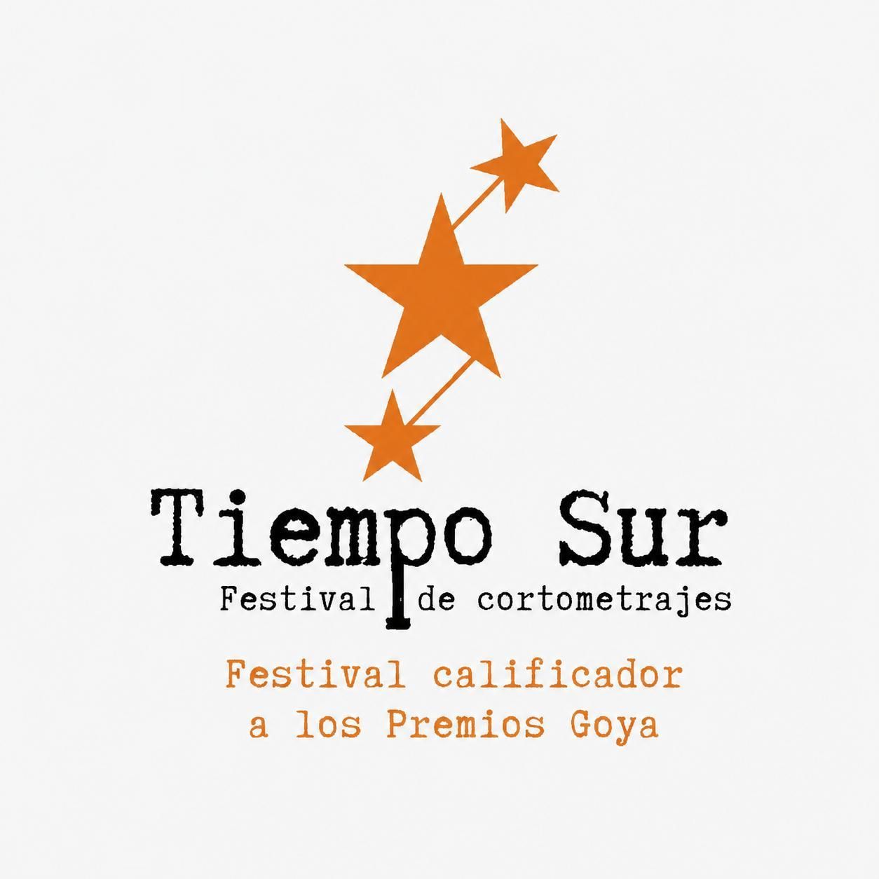 Logotipo de Tiempo Sur.