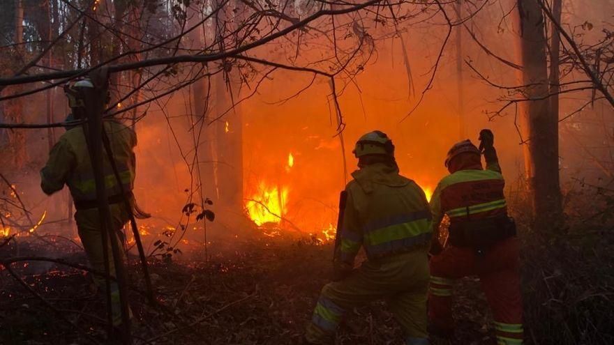 Cantabria arranca el año con casi medio centenar de incendios "intencionados"