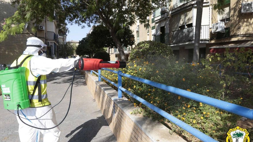 Mairena del Aljarafe adelanta el control de mosquitos por las últimas lluvias y el intenso calor