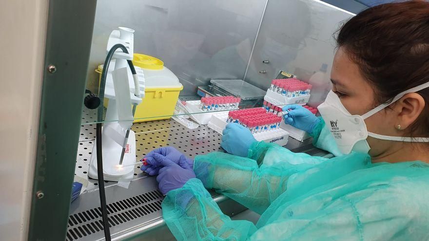 Muestras para PCR.