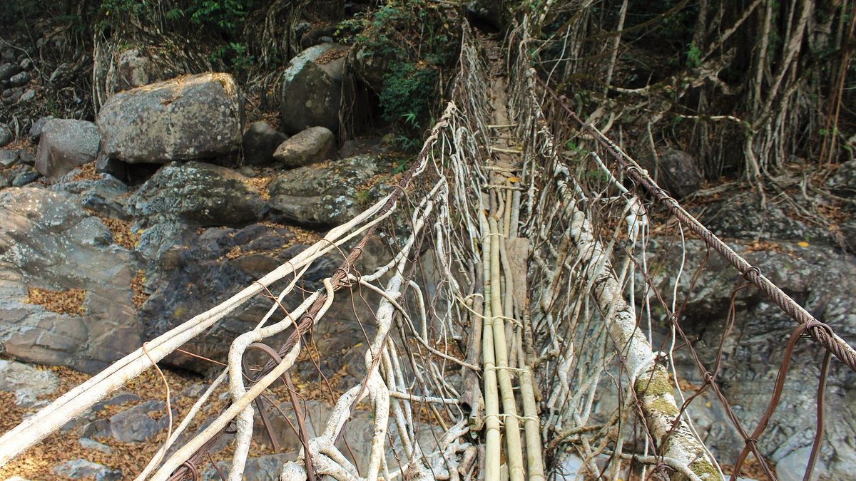 O conhecimento herdado sem escrita mantém a tradição no século XXI.