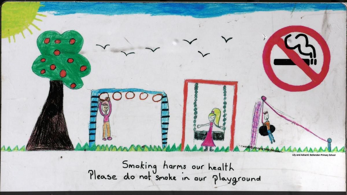 Política contra el humo