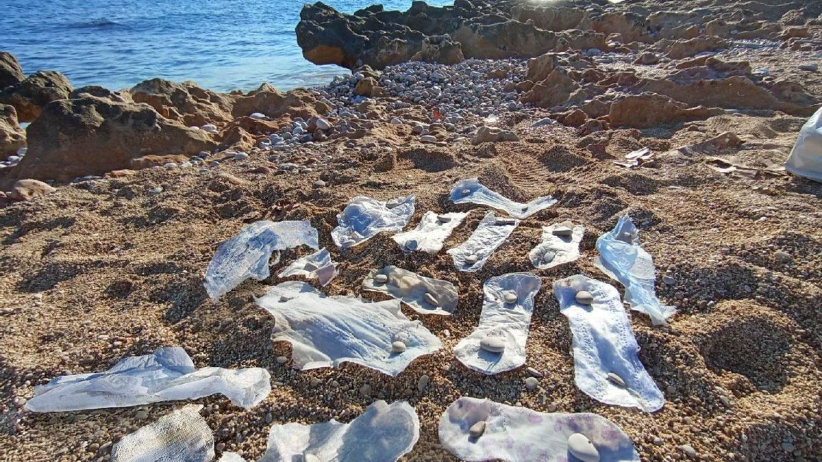 Compresas y panales encontrados en Javea 1320x990