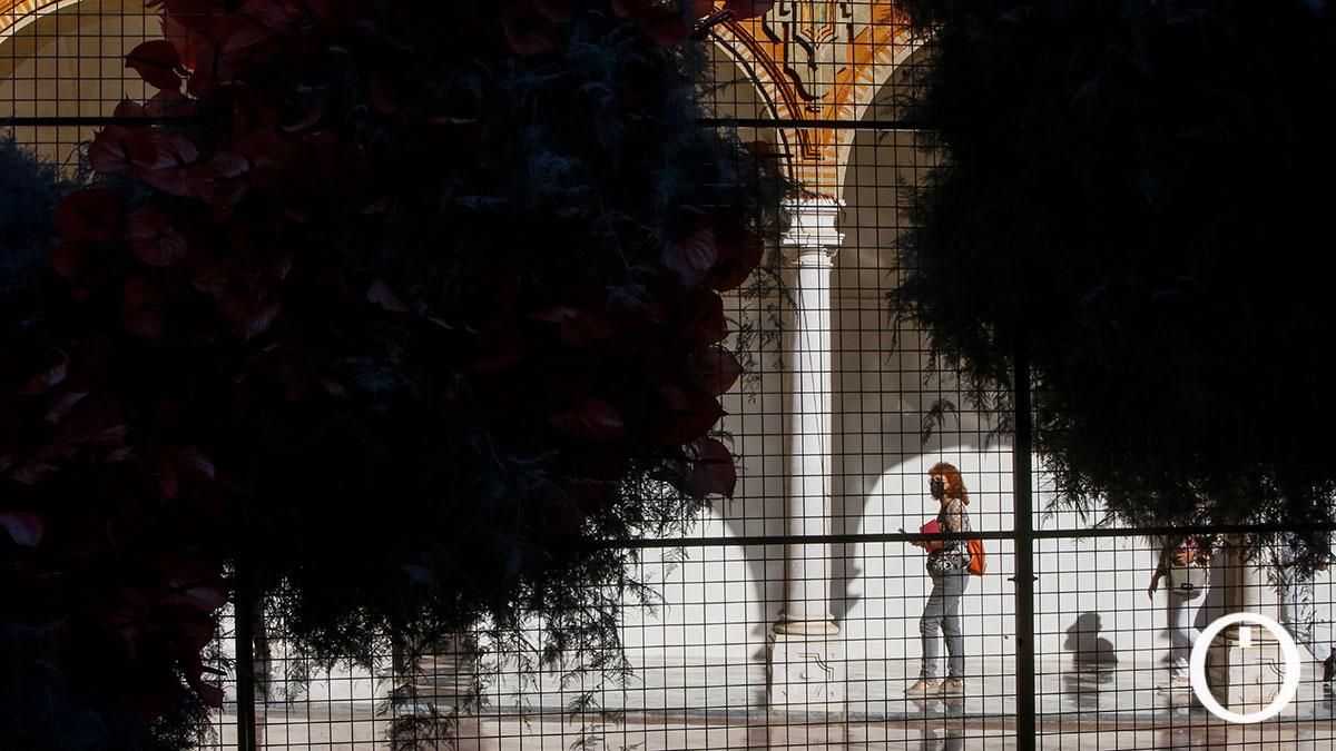 Instalación de Flora 2021 en la Diputación de Córdoba