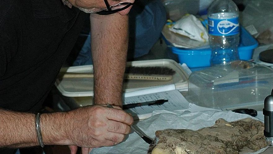 Perros momificados por esta antigua civilización andina revelan que estos animales ya eran apreciados hace más de 1.000 años